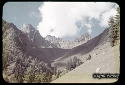 カラースライドF04_07 (1)