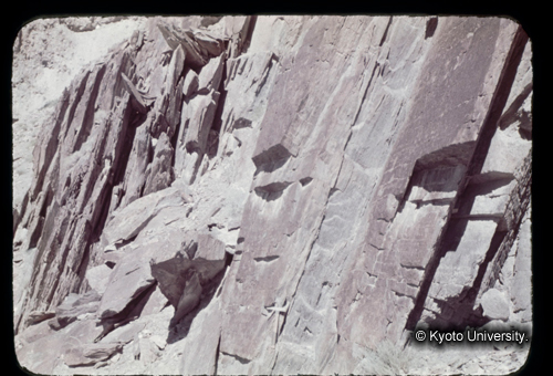 カラースライドF07_10 (1)