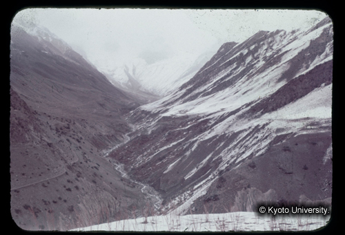 カラースライドF15_19 (1)