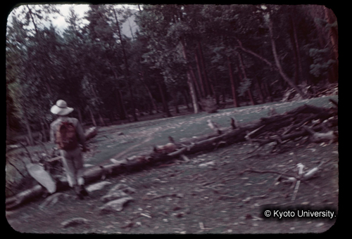 カラースライドF05_03 (1)