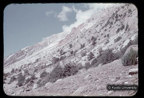 カラースライドF15_09 (1)