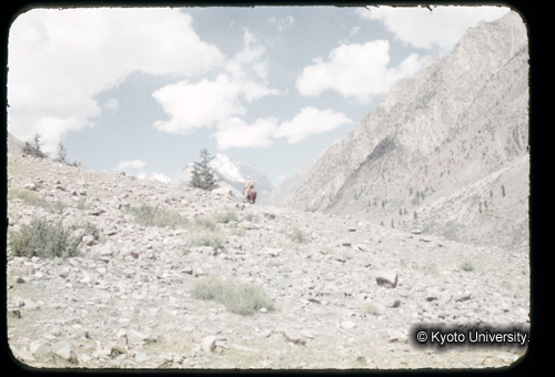 カラースライドF04_19 (1)