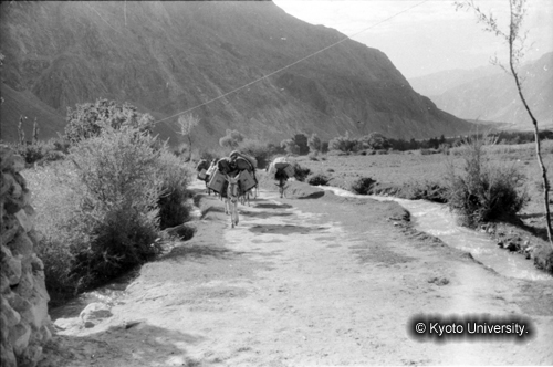 ヒンズークシ地域撮影フィルム : LF-2-4 (1)