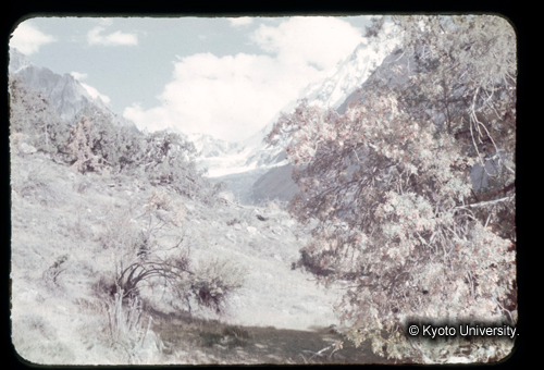 カラースライドF09_18 (1)