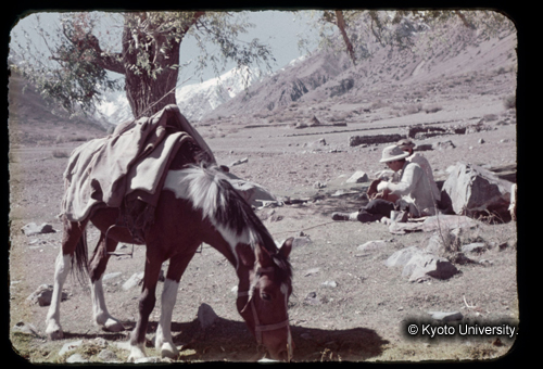 カラースライドF17_04 (1)