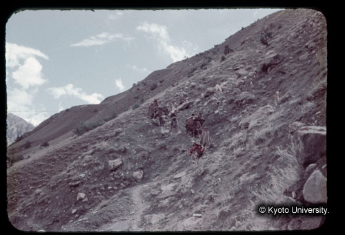 カラースライドF13_10 (1)