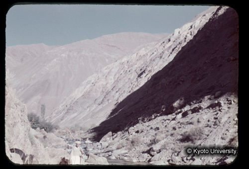 カラースライドF17_01 (1)