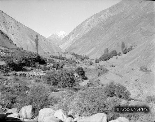 ヒンズークシ地域撮影フィルム : F-38-6 (1)