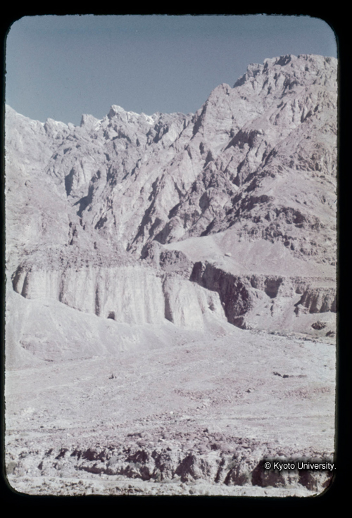 カラースライドF20_15 (1)