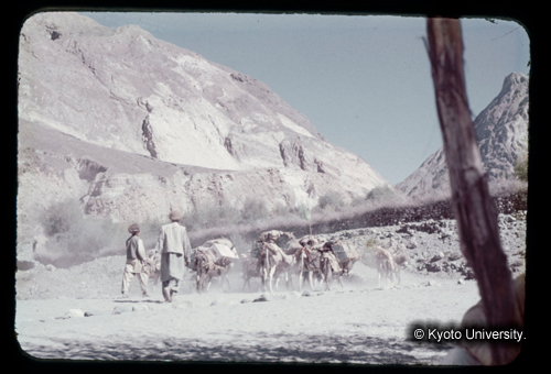 カラースライドF20_17 (1)