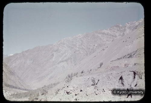 カラースライドF07_01 (1)