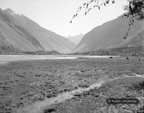 ヒンズークシ地域撮影フィルム : F-38-14 (1)