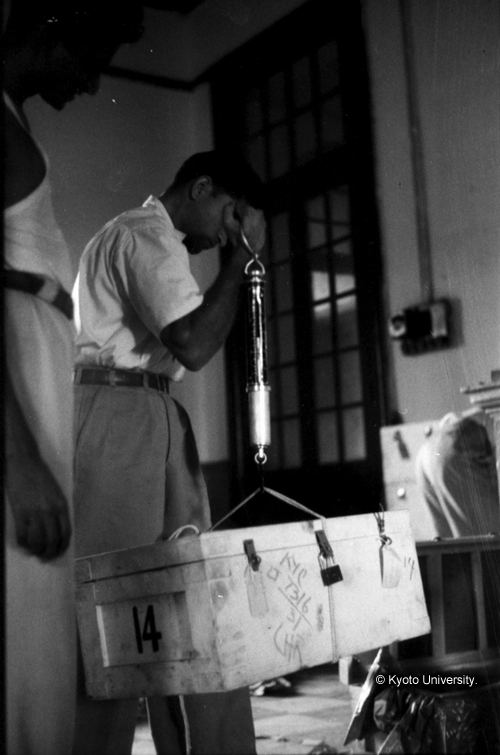 ヒンズークシ地域撮影フィルム : LF-1-13 (1)