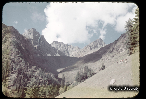 カラースライドF04_06 (1)