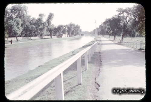 カラースライドF02_15 (1)