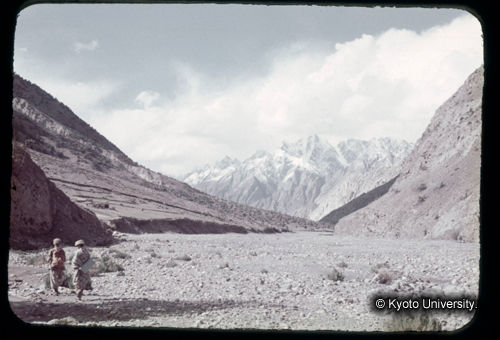 カラースライドF14_15 (1)