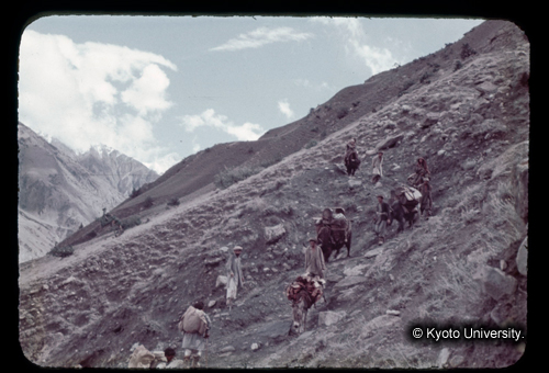 カラースライドF13_11 (1)