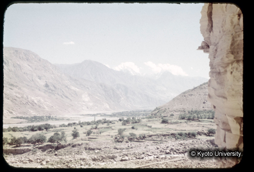 カラースライドF03_05 (1)