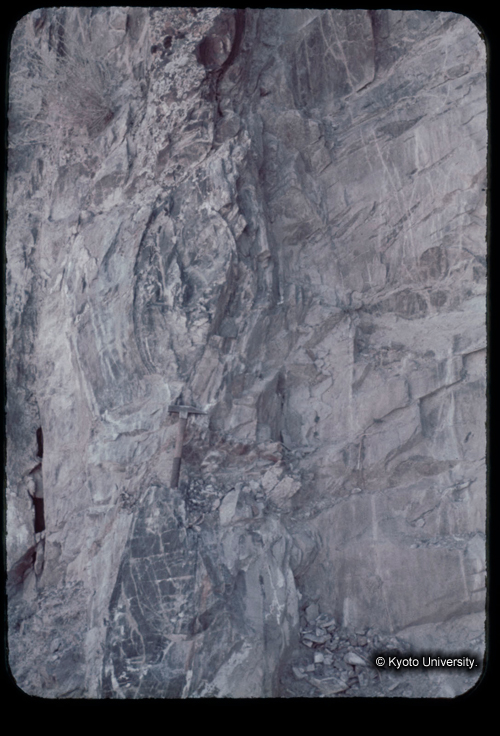 カラースライドF21_18 (1)