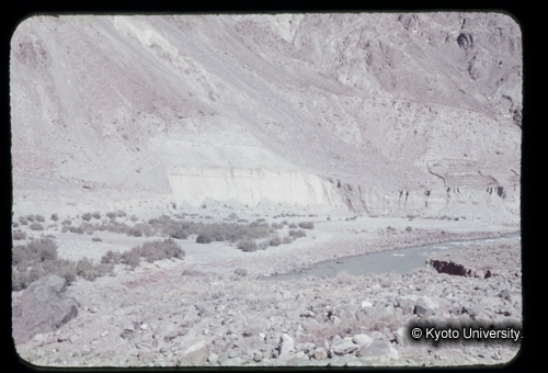 カラースライドF21_19 (1)