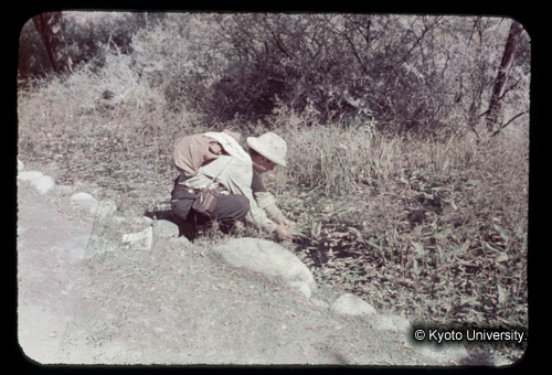 カラースライドF17_09 (1)