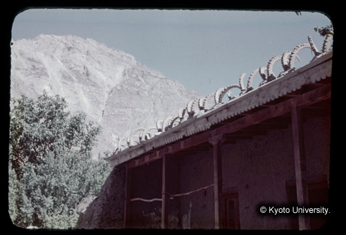 カラースライドF07_17 (1)