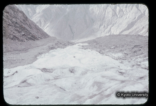 カラースライドF11_14 (1)