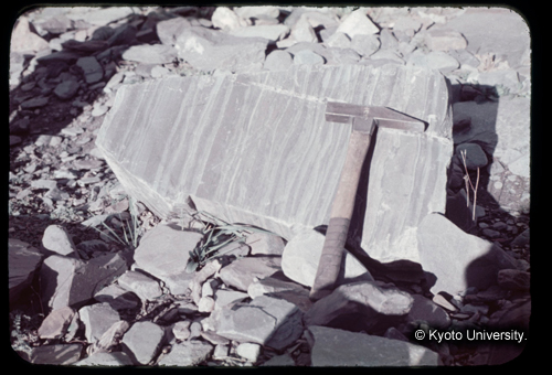 カラースライドF05_16 (1)