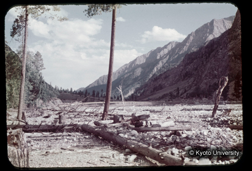 カラースライドF05_05 (1)