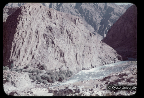 カラースライドF19_10 (1)