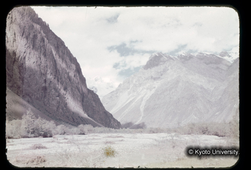 カラースライドF16_01 (1)