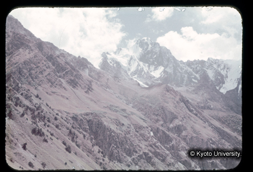 カラースライドF05_17 (1)