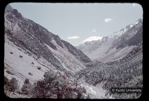 カラースライドF06_18 (1)