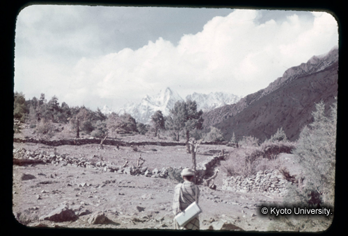 カラースライドF14_17 (1)