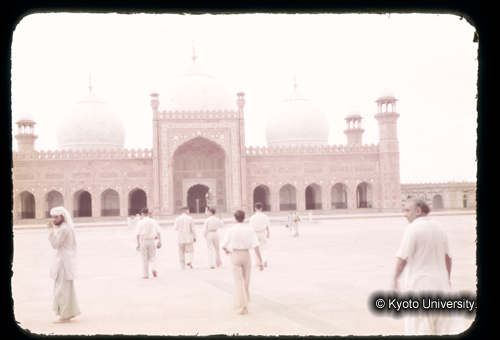 カラースライドF01_13 (1)