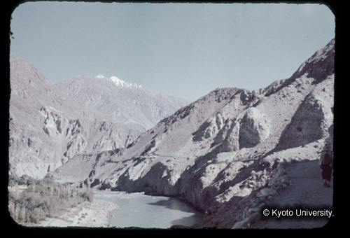 カラースライドF21_20 (1)