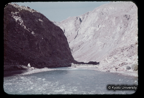 カラースライドF19_19 (1)