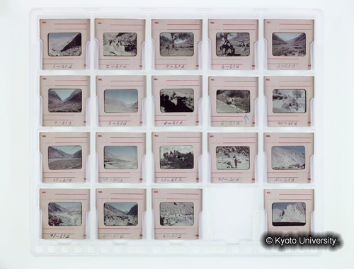 カラースライドシートNo.17 (1)