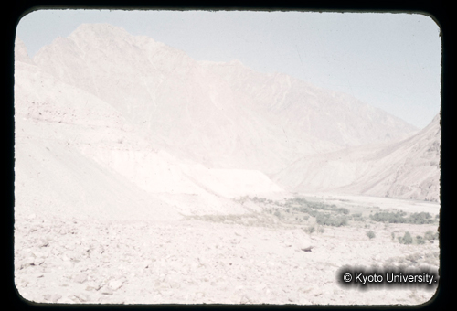 カラースライドF03_02 (1)