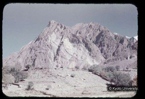 カラースライドF19_02 (1)