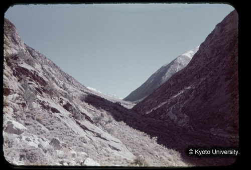 カラースライドF20_10 (1)