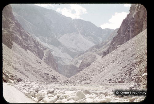 カラースライドF03_07 (1)