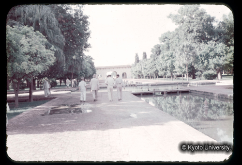 カラースライドF02_19 (1)