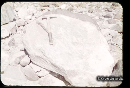 カラースライドF03_15 (1)