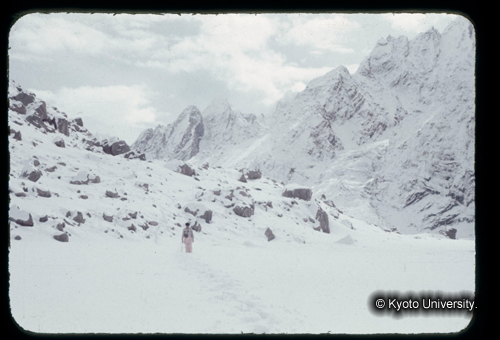 カラースライドF15_17 (1)