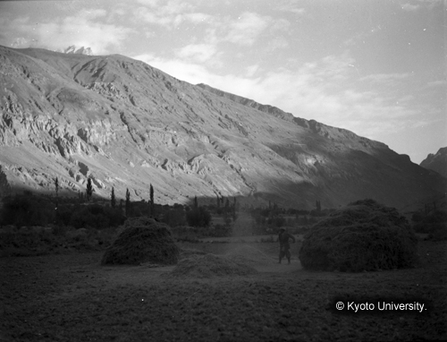 ヒンズークシ地域撮影フィルム : F-36-16 (1)