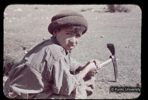 カラースライドF16_02 (1)