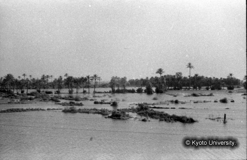 ヒンズークシ地域撮影フィルム : LF-1-8 (1)