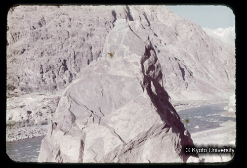 カラースライドF19_04 (1)