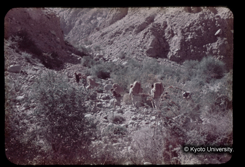 カラースライドF08_03 (1)